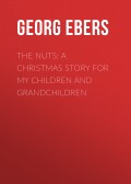 The Nuts: A Christmas Story for my Children and Grandchildren