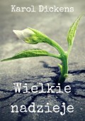 Wielkie nadzieje