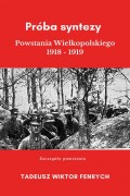 Próba syntezy Powstania Wielkopolskiego 1918-19