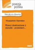 Rzecz dostrzeżona z dorożki - przelotem...