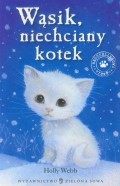 Wąsik niechciany kotek