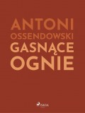 Gasnące ognie