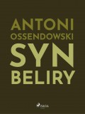 Syn Beliry