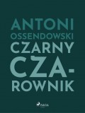 Czarny Czarownik