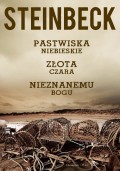 Pastwiska Niebieskie, Złota Czara, Nieznanemu bogu