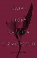 Kwiat, który zakwita o zmierzchu