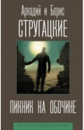 Пикник на обочине
