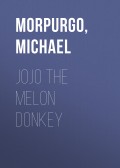 Jojo The Melon Donkey