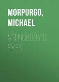 Mr Nobody's Eyes
