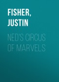 Ned's Circus Of Marvels