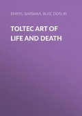 Toltec Art Of Life And Death