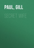 Secret Wife