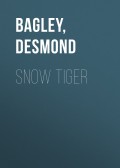 Snow Tiger