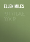 Puppy Place, Book 12