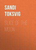 Slice of the Moon