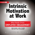 Intrinsic Motivation at Work, 2nd Edition