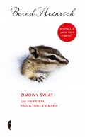 Zimowy świat