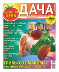 Дача Pressa.ru 22-2019