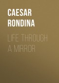 Life through a Mirror
