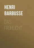 Das Frühlicht