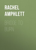 Bridge to Burn