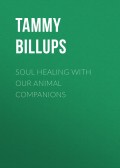 Soul Healing with Our Animal Companions