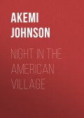 Night in the American Village