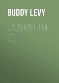 Labyrinth of Ice