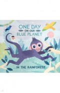 One Day On Our Blue Planet: In The Rainforest PB