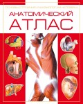 Анатомический атлас. Основы строения и физиологии человека