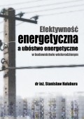 Efektywność energetyczna a ubóstwo energetyczne w budownictwie wielorodzinnym