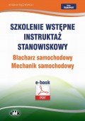 Szkolenie wstępne Instruktaż stanowiskowy Blacharz samochodowy. Mechanik samochodowy