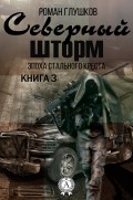 Северный шторм. Эпоха стального креста (Книга 3)