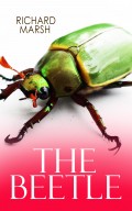 THE BEETLE