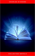 Charles Dickens, Collection novels