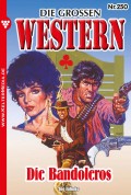 Die großen Western 250
