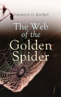 The Web of the Golden Spider