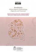 Amebiasis: Clinical Aspects, Epidemiology, Diagnosis, and Treatment