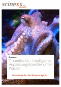 Tintenfische