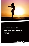 Where an Angel Flew