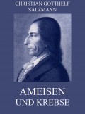 Ameisen und Krebse