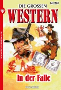 Die großen Western 261