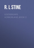 Goosebumps Horrorland, Book 2
