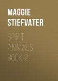 Spirit Animals, Book 2