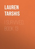 I Survived, Book 13