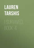 I Survived, Book 4