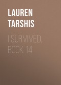 I Survived, Book 14