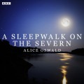 Sleepwalk On The Severn