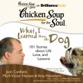 Chicken Soup for the Soul: What I Learned from the Dog