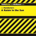 Raisin in the Sun